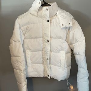 Cute Sebby white coat